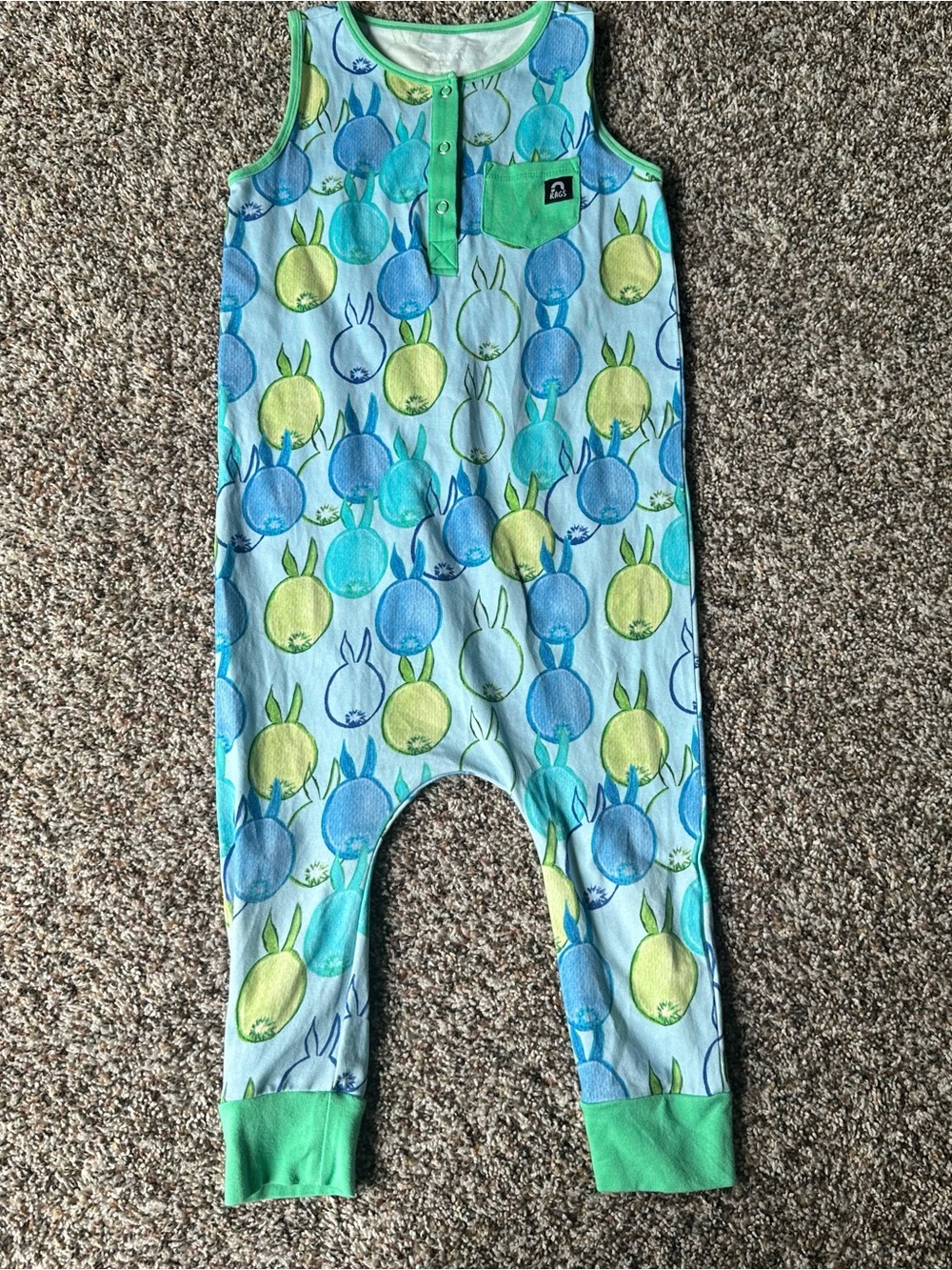 Rags Sleeveless Romper with Blue & Green Bunny Print size 3/4